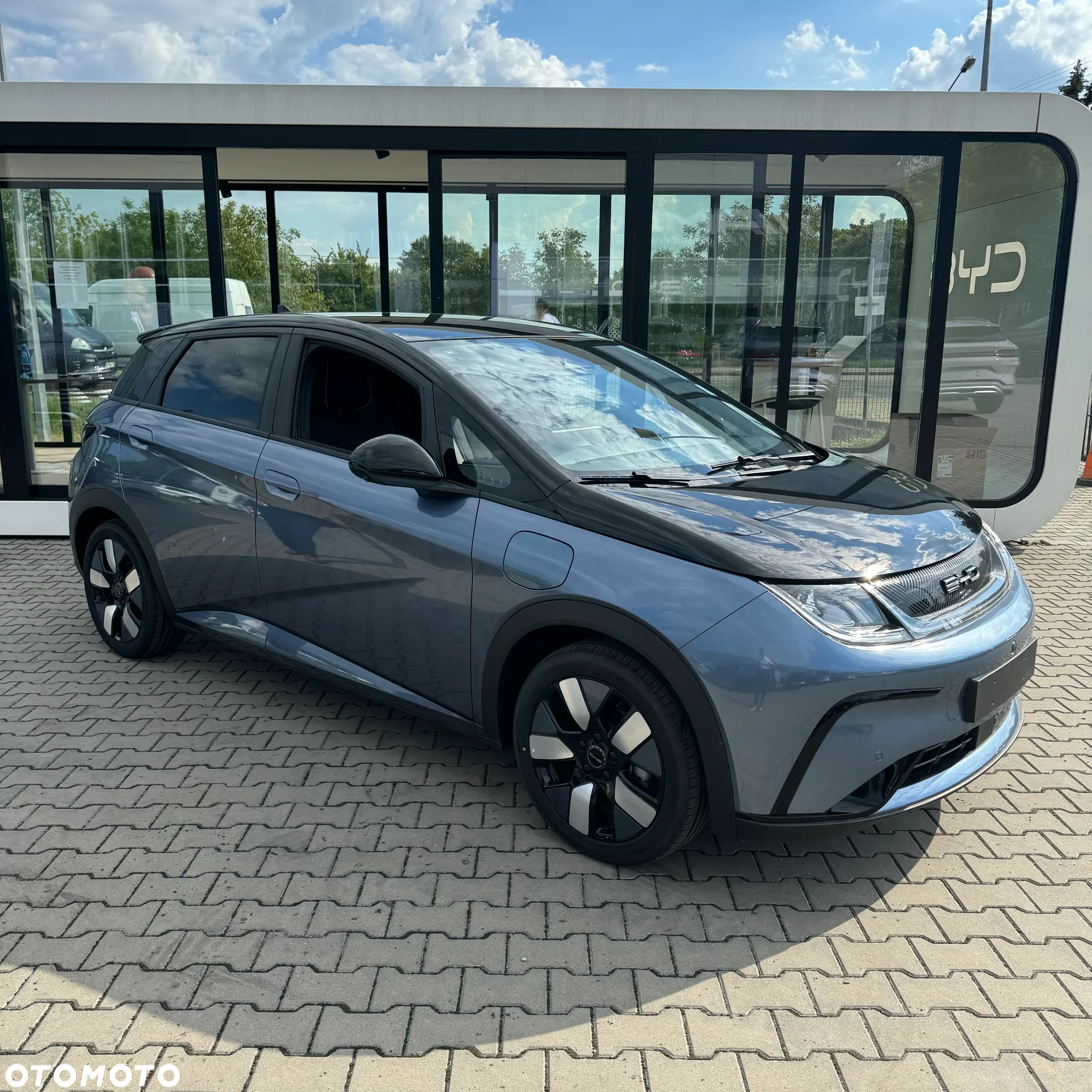 BYD Dolphin Mini - 4