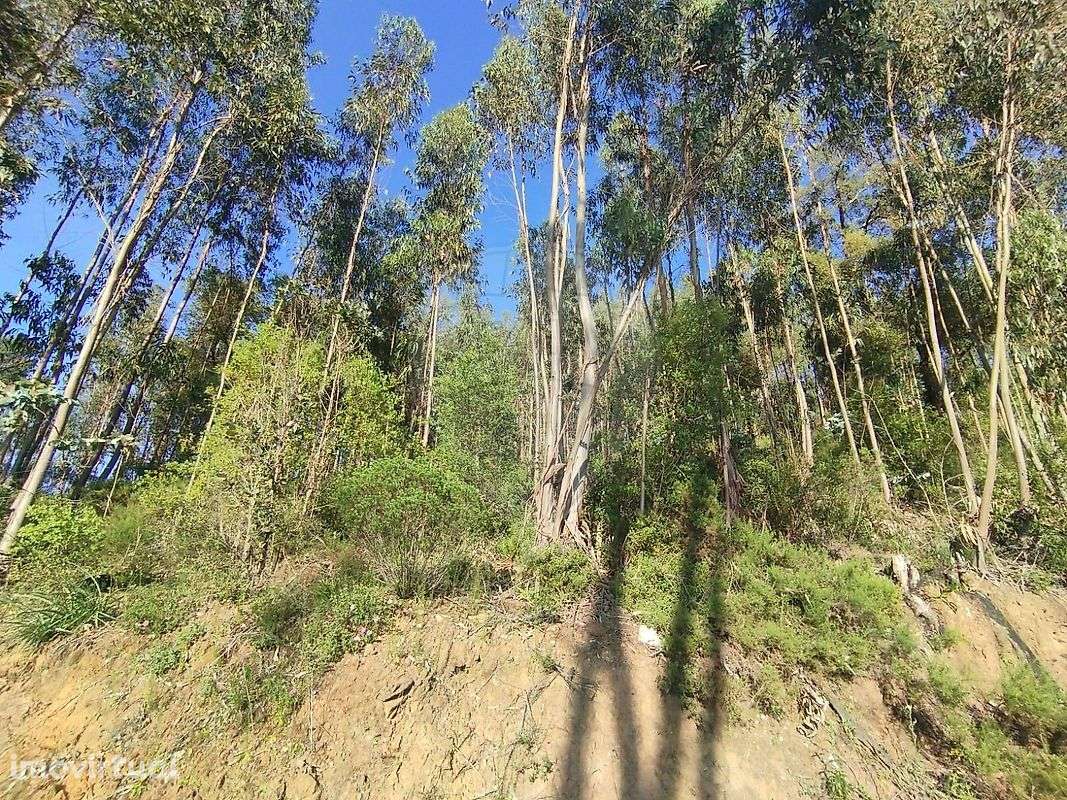 Terreno  para venda - Grande imagem: 2/4