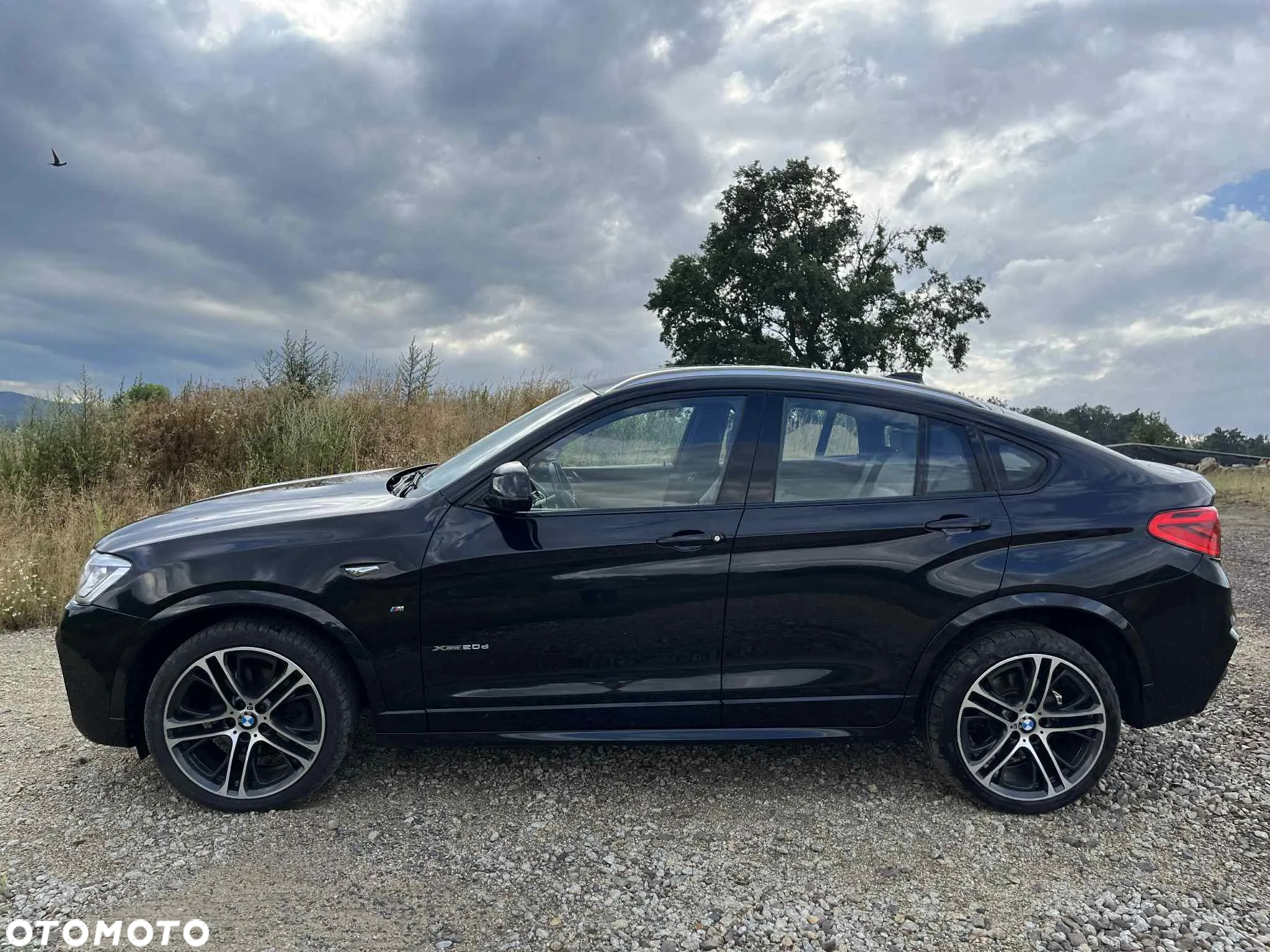 BMW X4 xDrive20d Edycja M Sport - 4