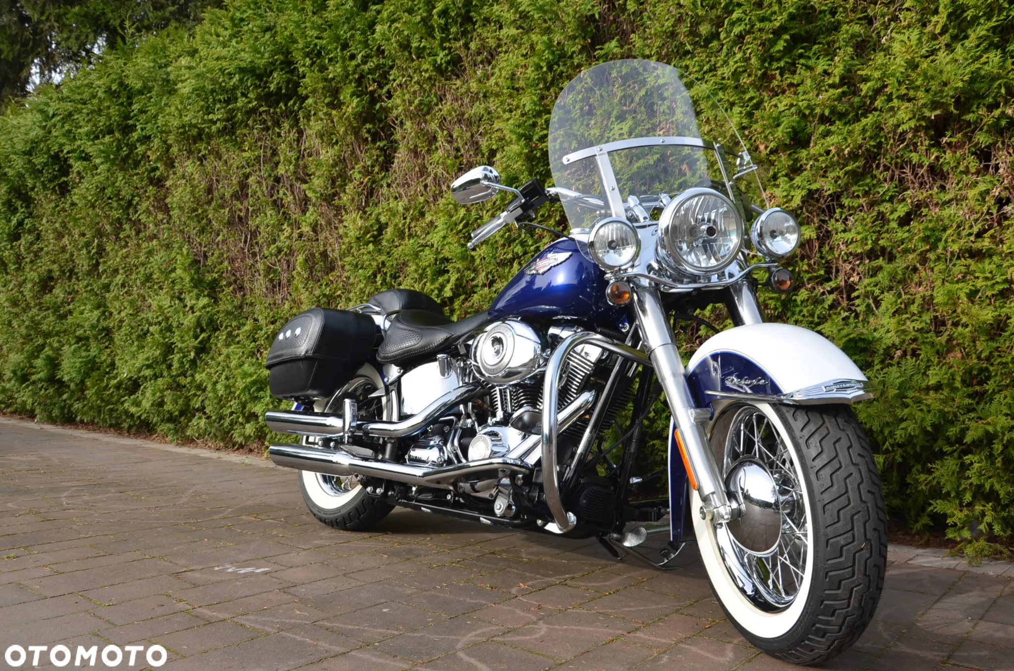 Harley-Davidson Softail Deluxe - 7