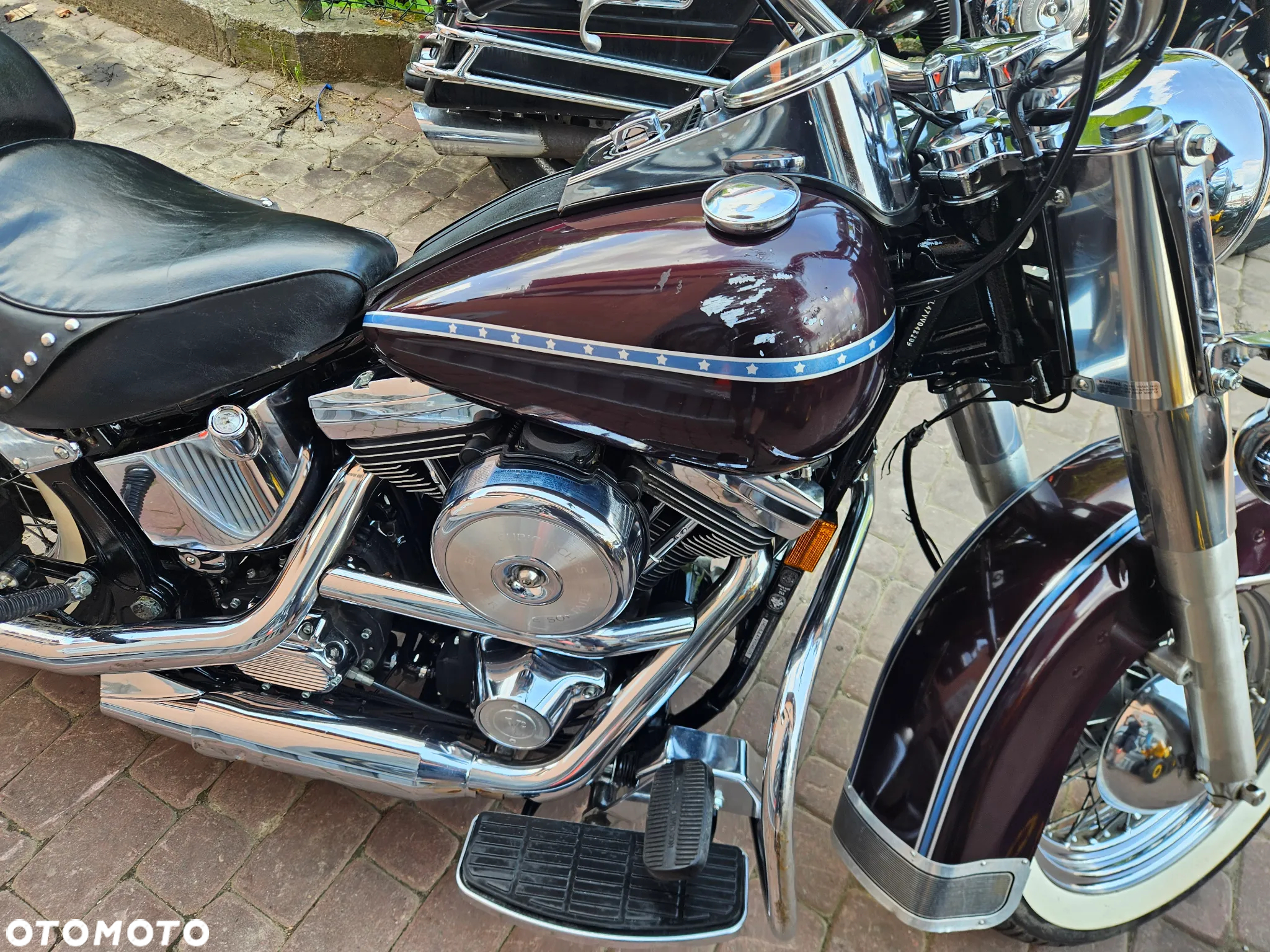 Harley-Davidson Softail Custom - 3
