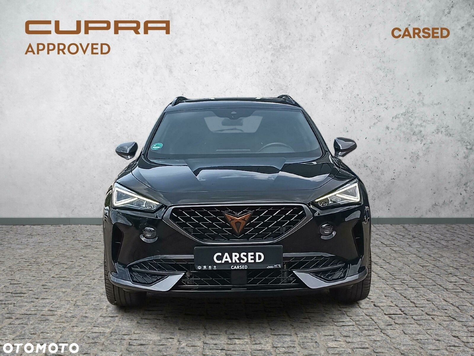 Cupra Formentor 2.0 TSI 4Drive DSG - 8