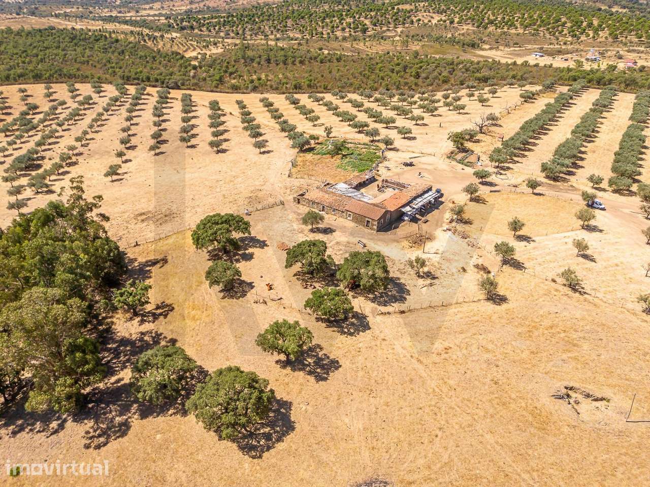 Herdade com 150 ha em Monsanto, Idanha-a-Nova | Montado de Sobro, Oliv - Grande imagem: 4/31
