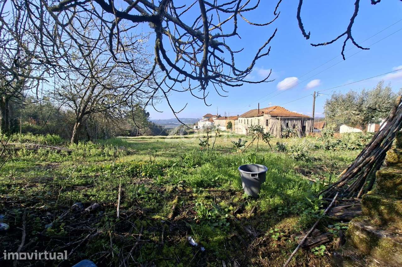 Quinta com 9 mil m2 na Póvoa da Rainha Santa- P. da BEIRA - ARGANIL - Grande imagem: 5/15