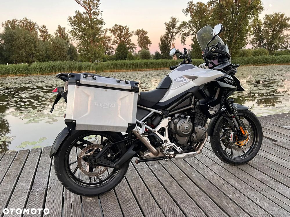 Triumph Tiger - 8