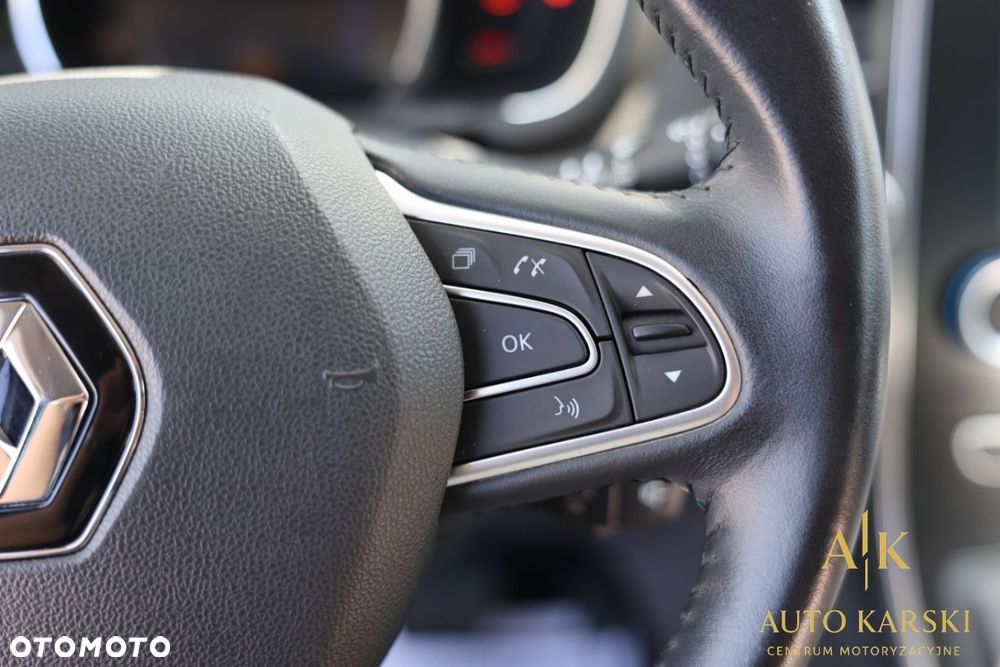 Renault Scenic - 23