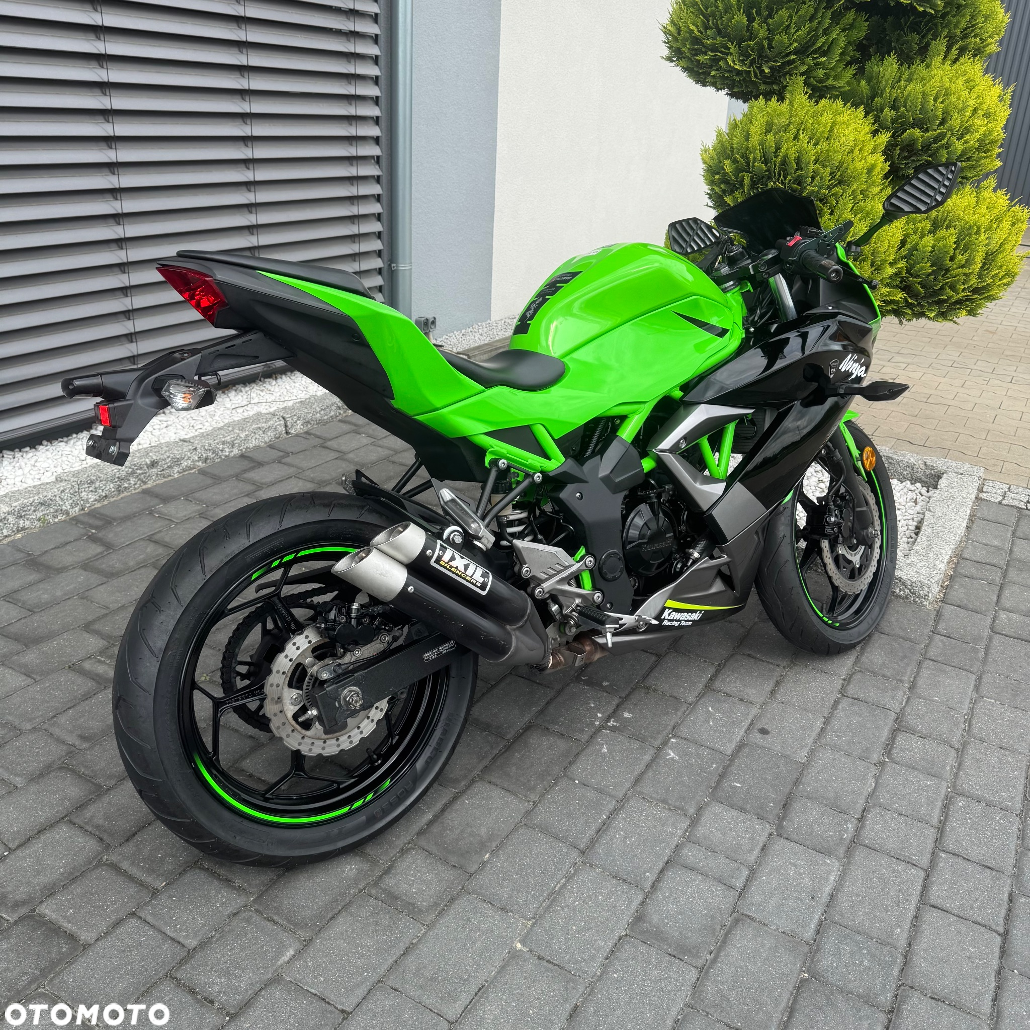 Kawasaki Ninja - 3