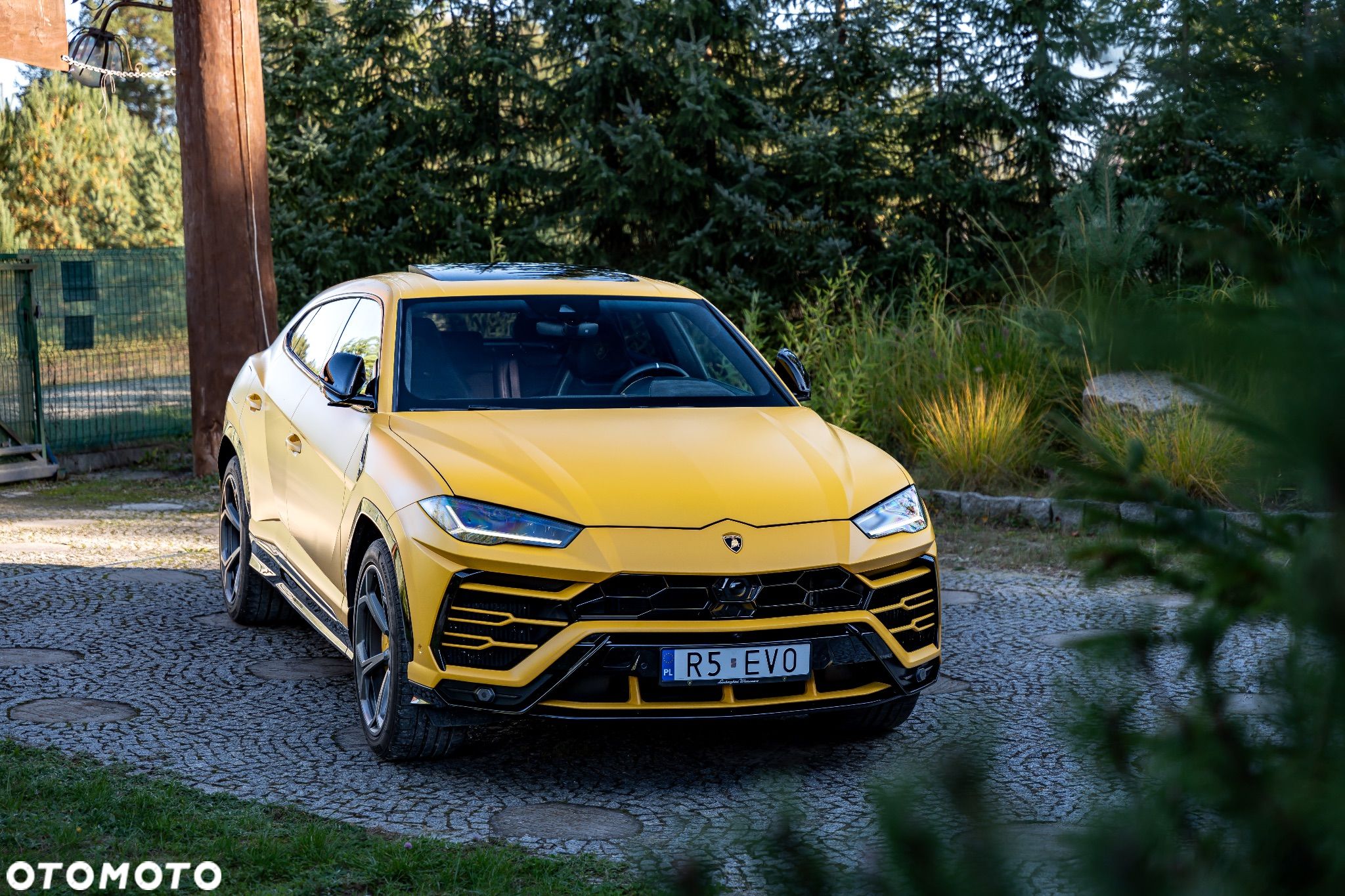 Lamborghini Urus Standard - 1