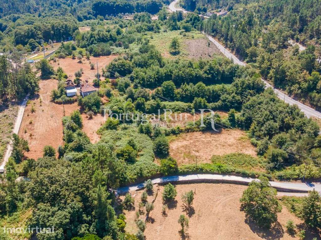 Quinta de 3 hectares com casa para recuperar - Grande imagem: 3/43