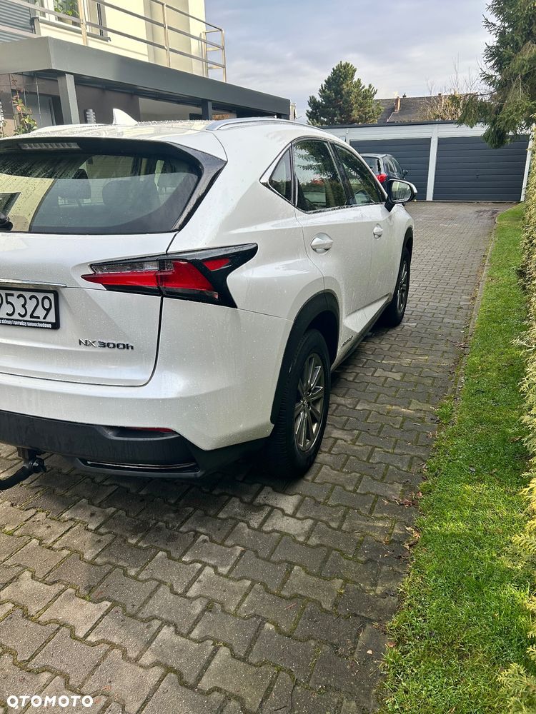 Lexus NX 300h - 5