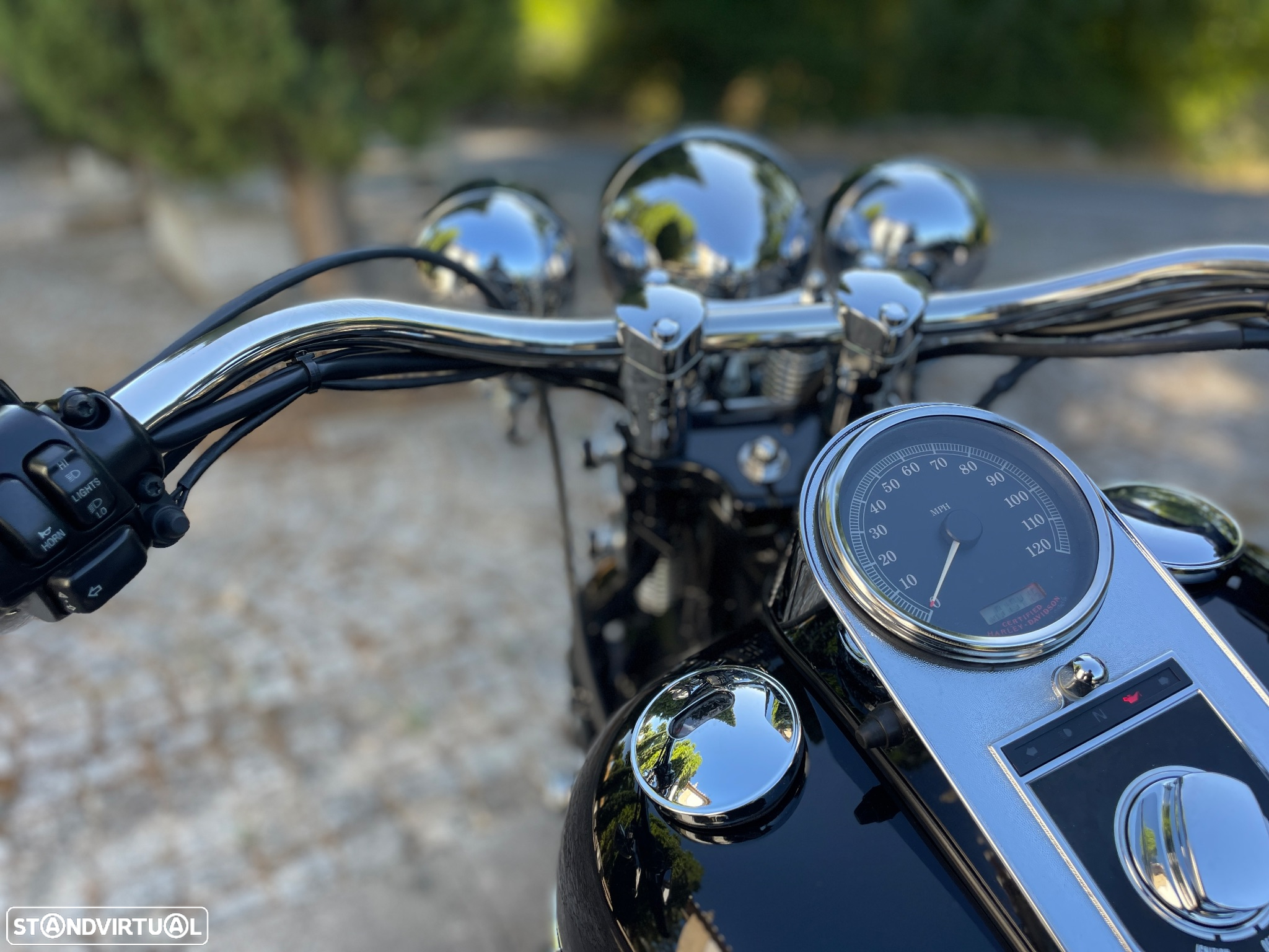 Harley-Davidson FLSTS Springer - 17