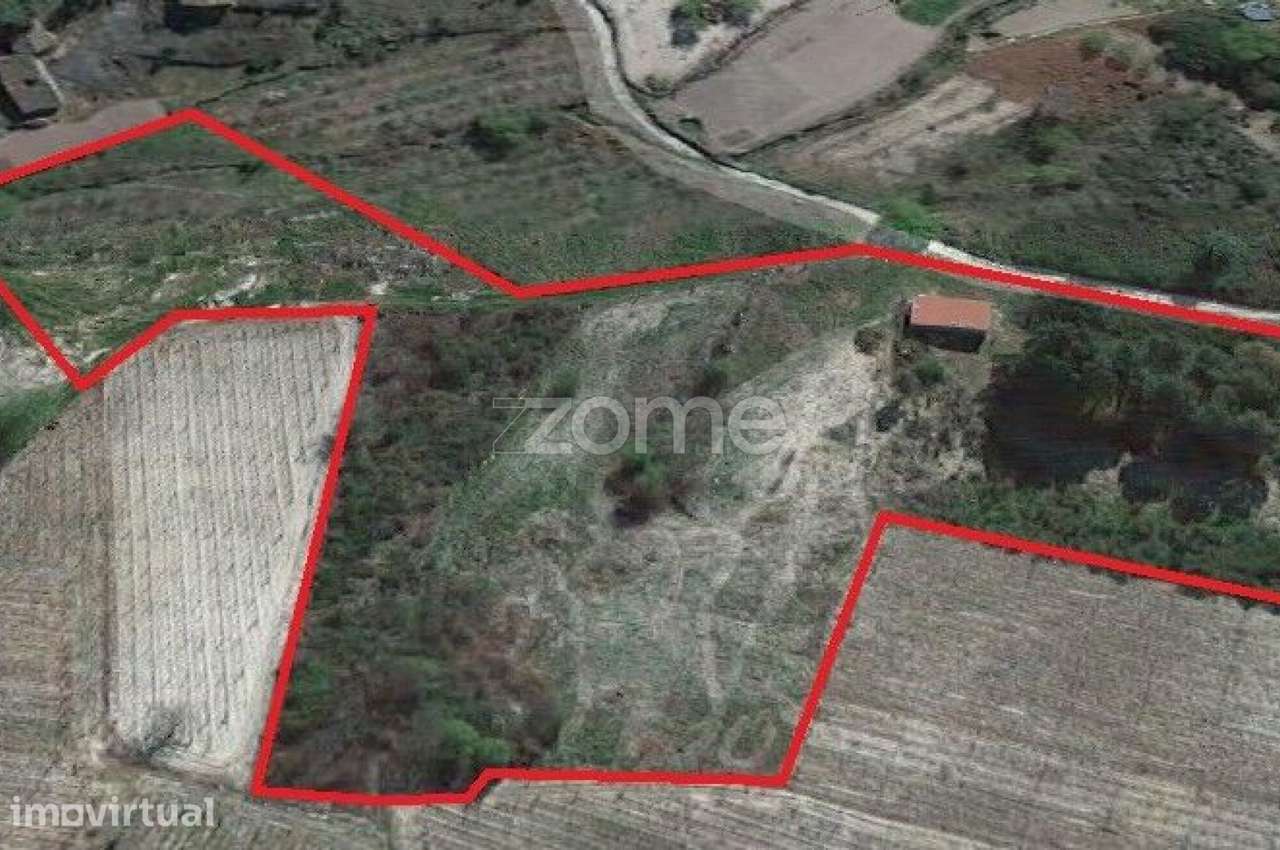 Terreno Rústico com 3.500 m² no Alto Douro Vinhateiro - Grande imagem: 3/4