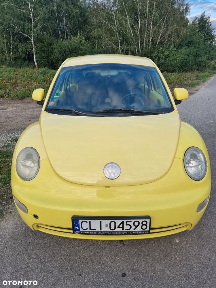 Volkswagen Beetle - 6