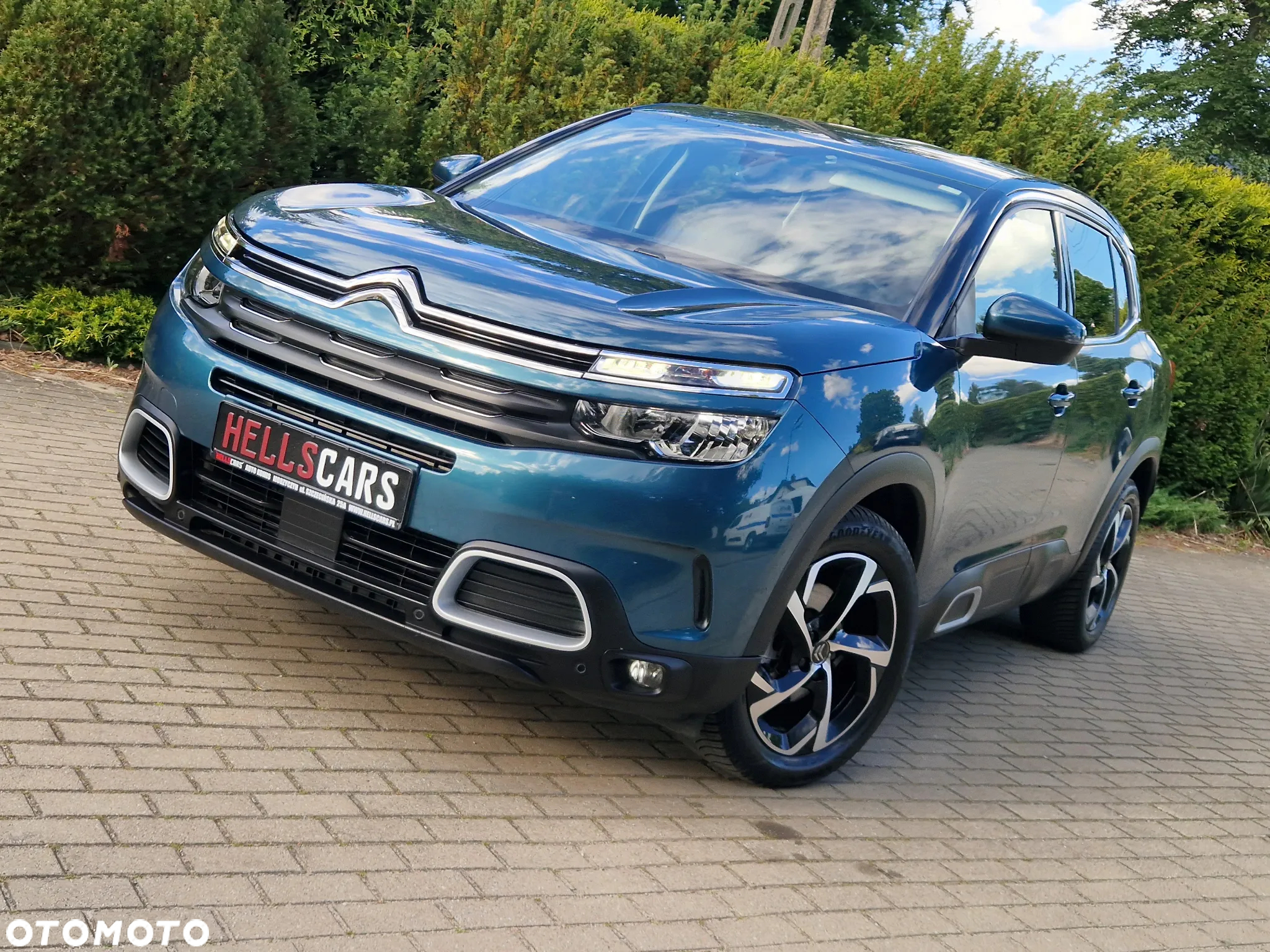 Citroën C5 Aircross BlueHDI 130 S&S EAT8 SHINE - 12