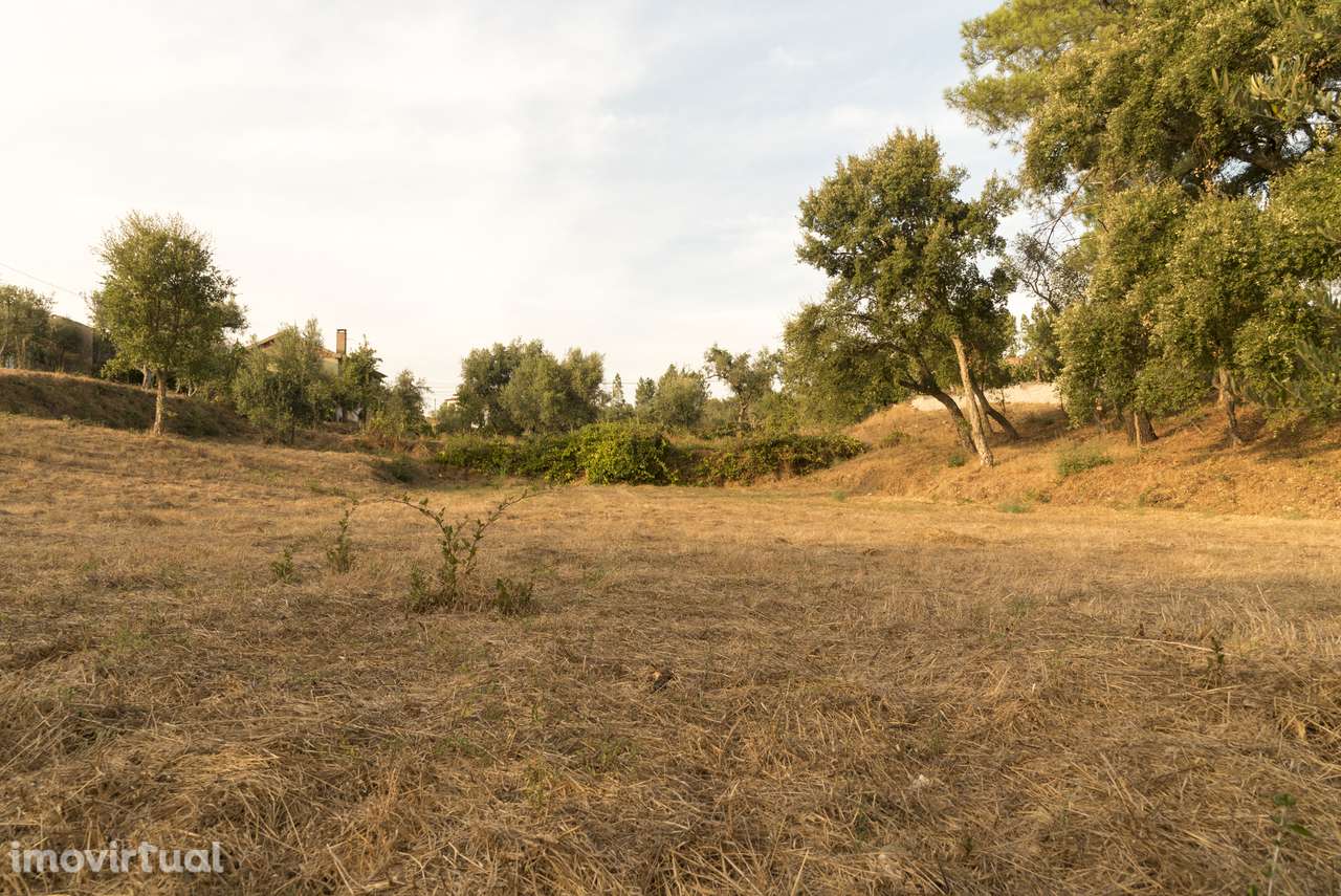 1.400 m² com potencial construtivo | Sertã – EN2 - Grande imagem: 4/24