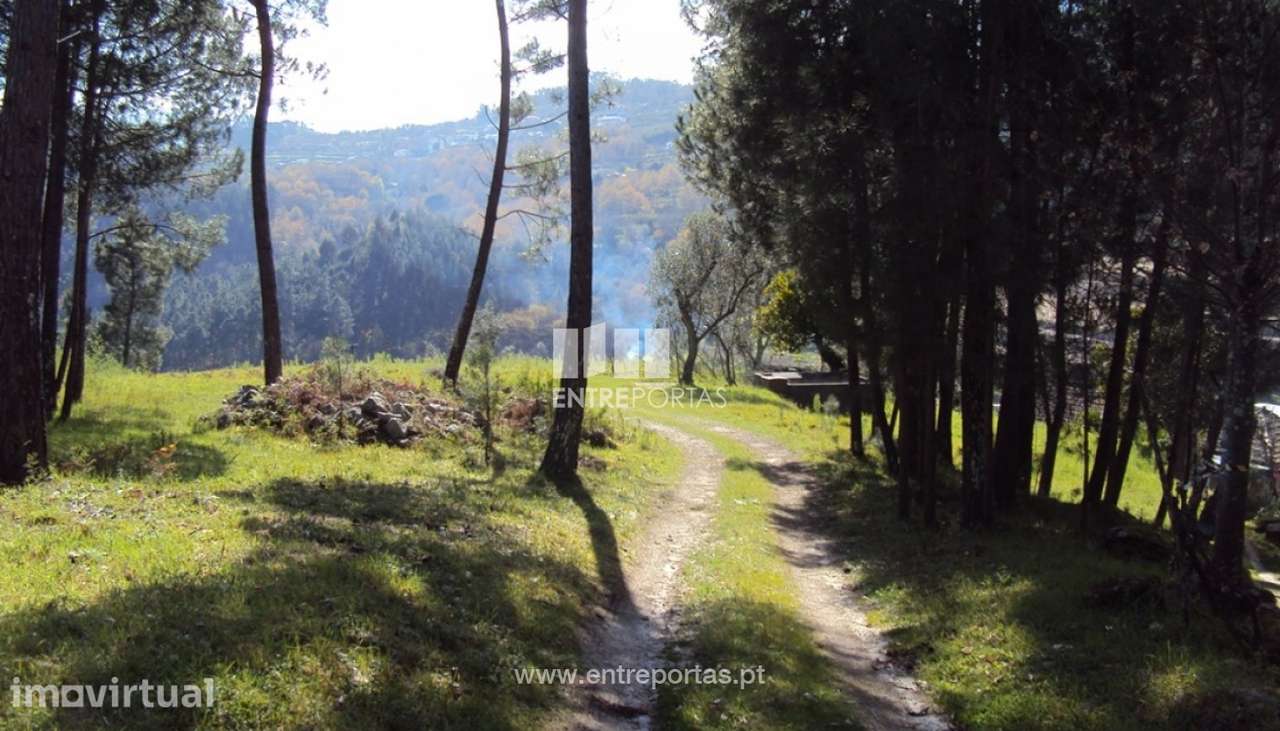 Venda Terreno, Mesquinhata, Baião - Grande imagem: 3/23