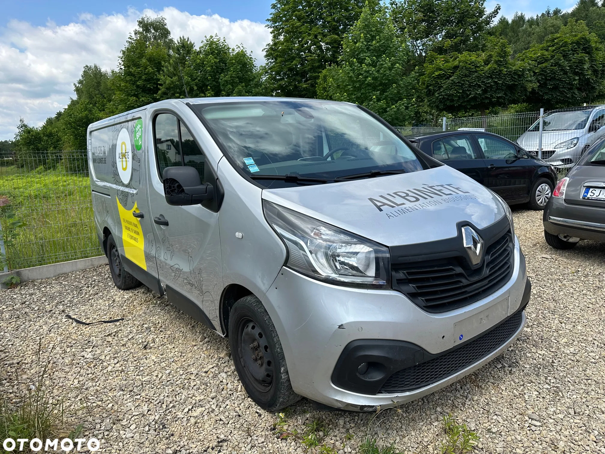 Renault TRAFFIC - 2