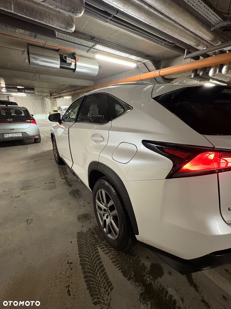 Lexus NX 300 Business Edition AWD - 4