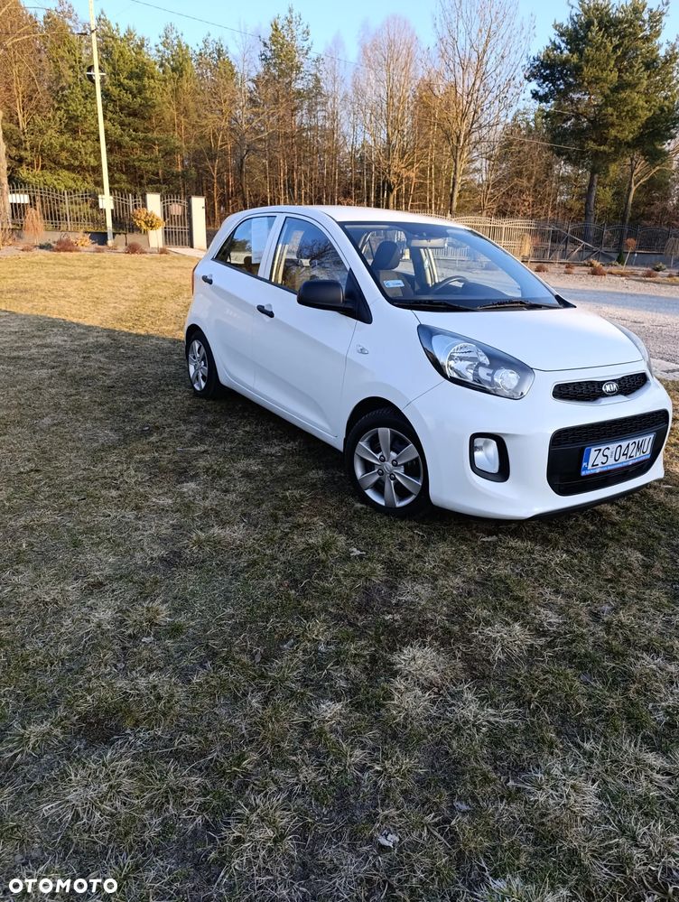 Kia Picanto 1.0 L - 1