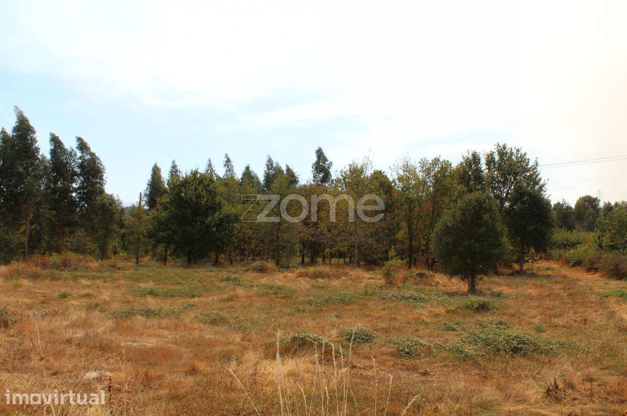 Terreno para construção e exploração agrícola em Paranhos da Beira... - Grande imagem: 2/20