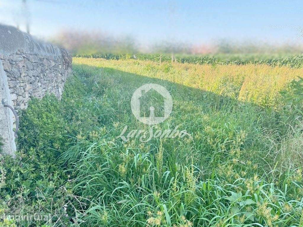 Terreno Agrícola c/ 2200m2, murado em Rates, Póvoa de Varzim - Grande imagem: 2/3