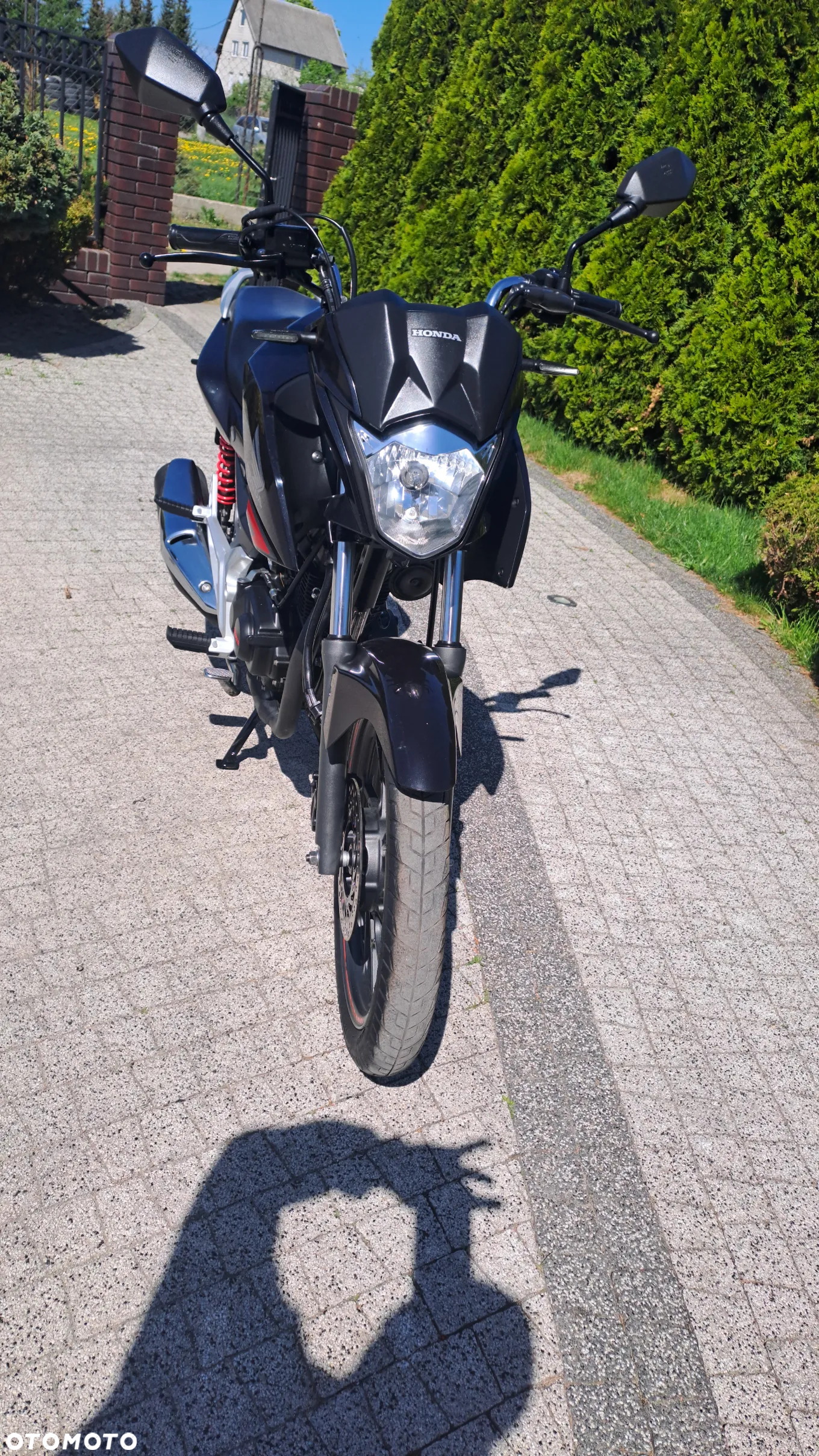 Honda CBF - 21