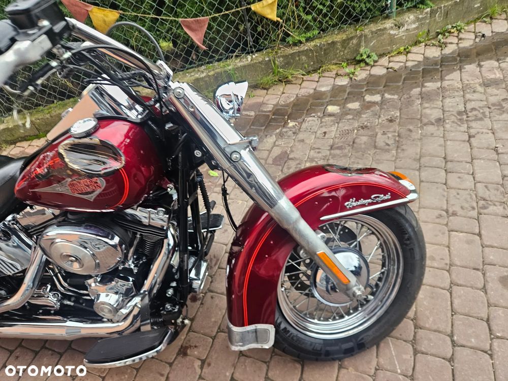 Harley-Davidson Softail Standard - 22