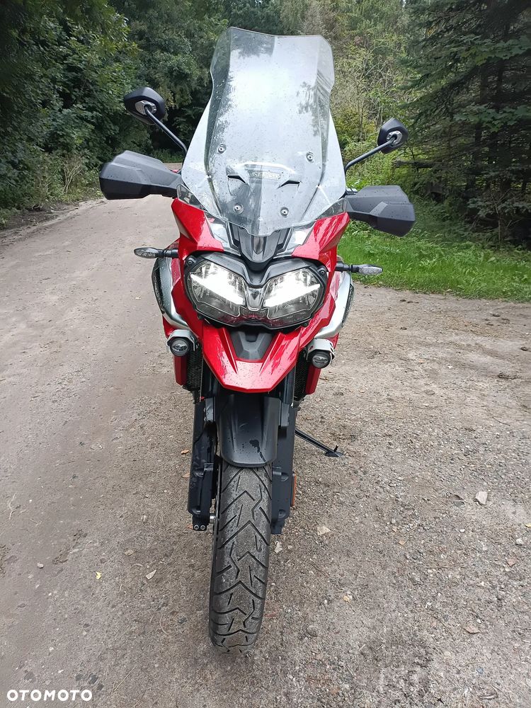 Triumph Tiger - 8