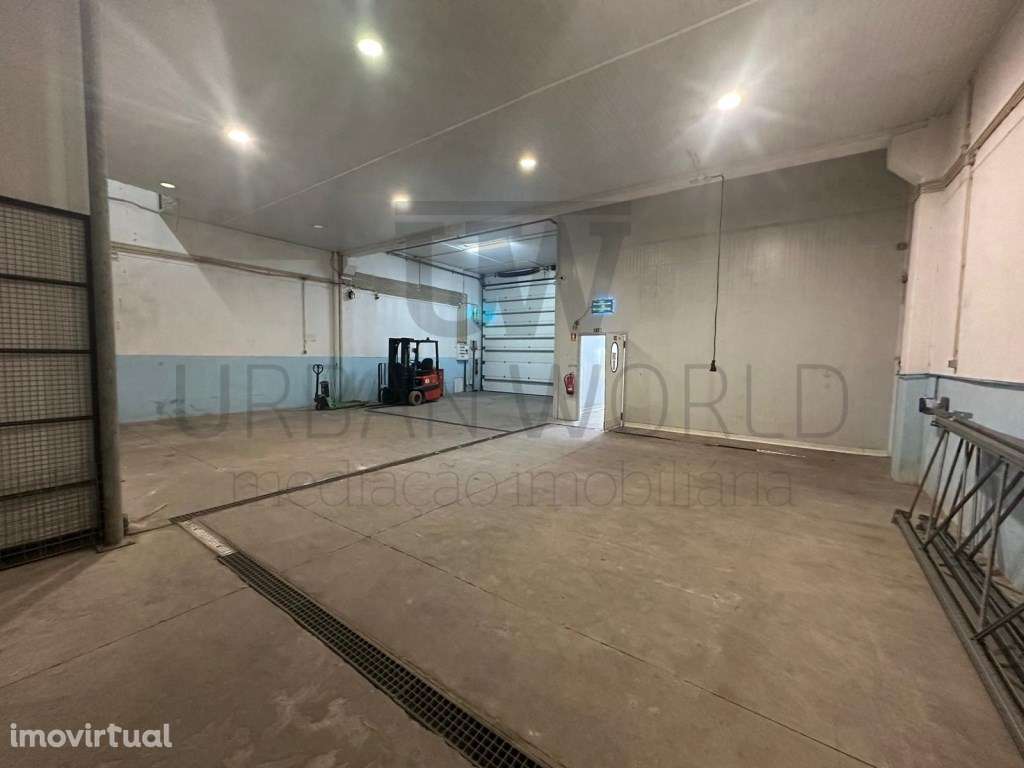 Armazém de Frio Industrial C/ Licença Veterinária P/ Ramo Alimentar... - Grande imagem: 2/20
