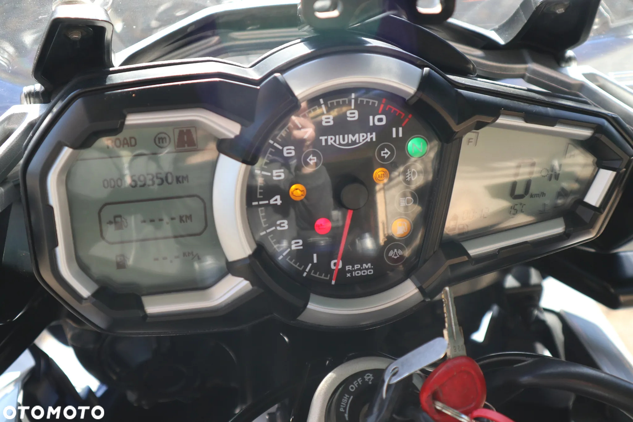 Triumph Tiger - 19