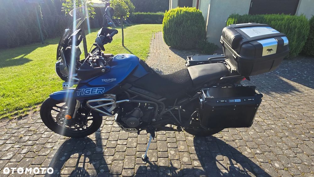 Triumph Tiger - 8