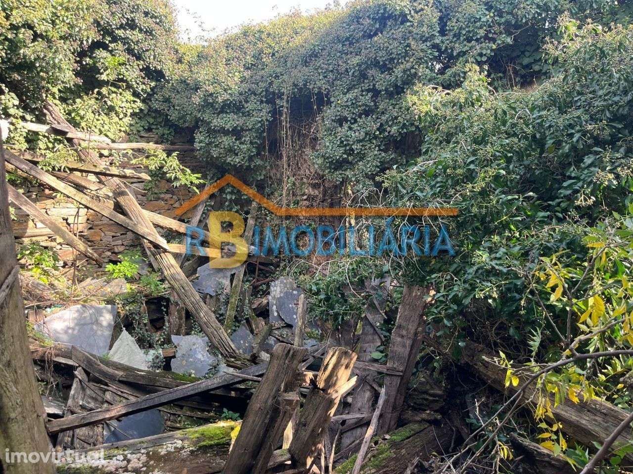 Quinta "Casa do Afonso" em Várzeas - Alvarenga - Grande imagem: 3/19