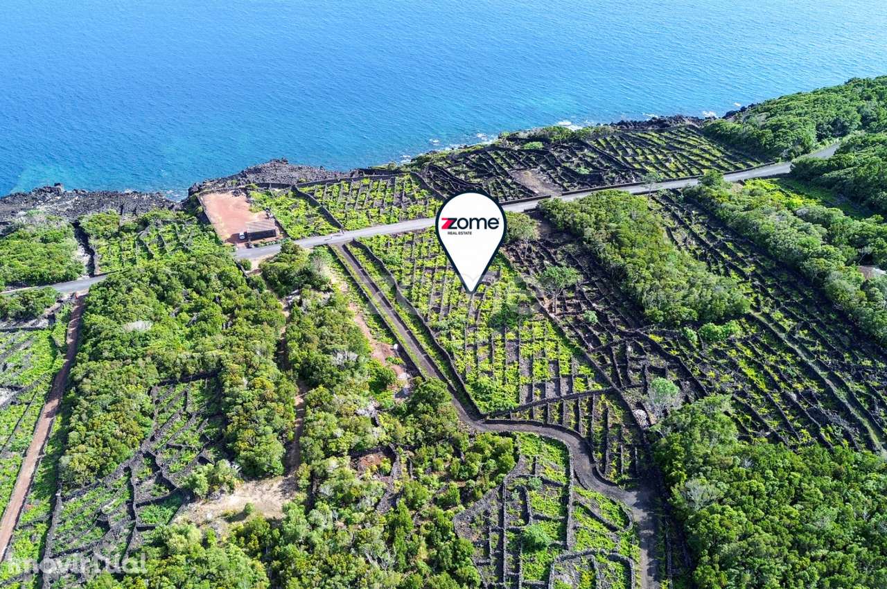 Terreno de vinhas com 2835m2, em São Caetano na Ilha do Pico - Grande imagem: 2/16