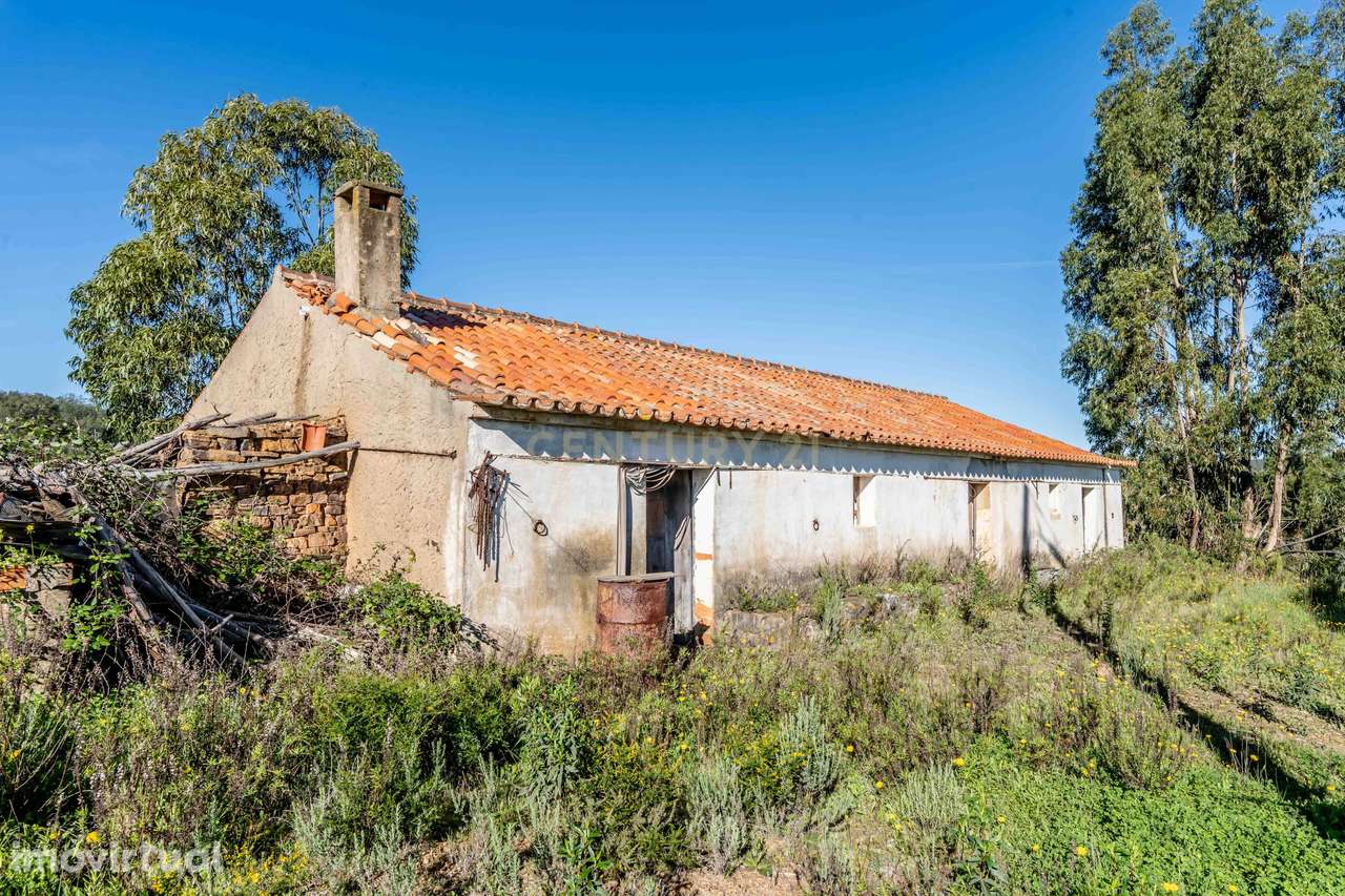 Quinta com 11,7 Hectares e Ruína para Reconstrução | Vale Zorro – São - Grande imagem: 3/28