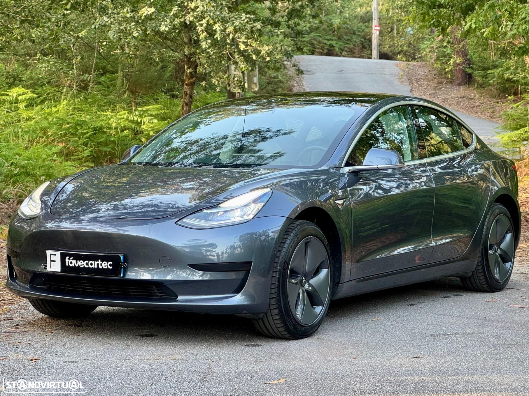 Tesla Model 3 Standard Range Plus RWD - 14