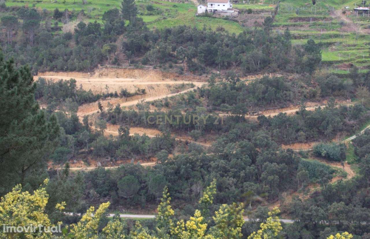 Terreno para construção com vistas únicas sobre o Rio Douro – Paços de - Grande imagem: 4/11