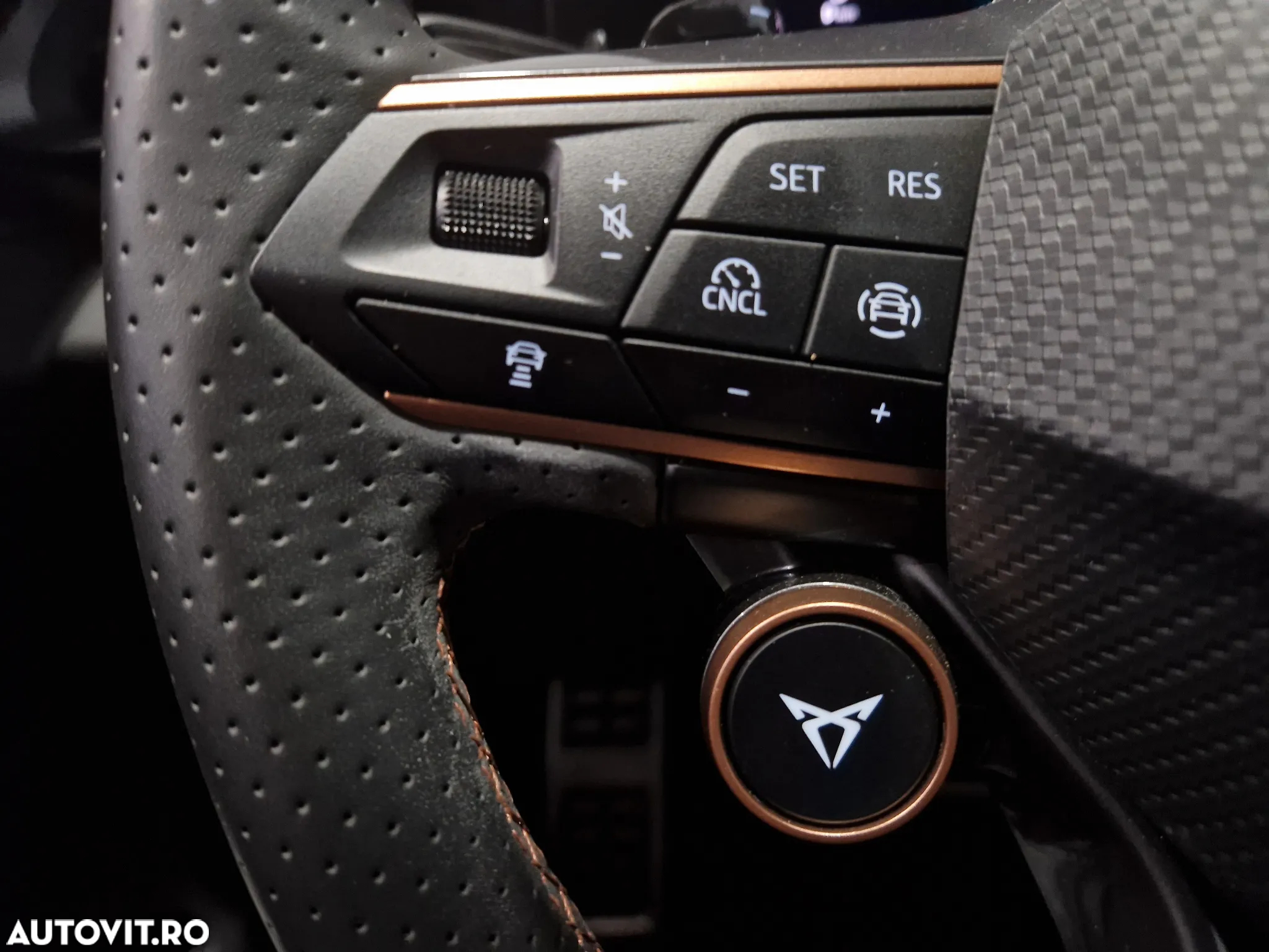Cupra Terramar - 18
