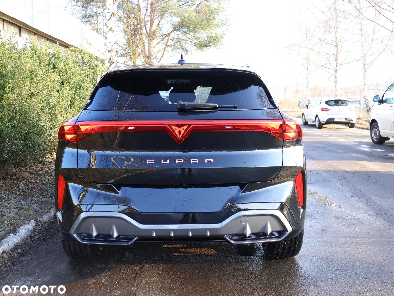 Cupra Terramar 2.0 TSI 4Drive DSG - 8