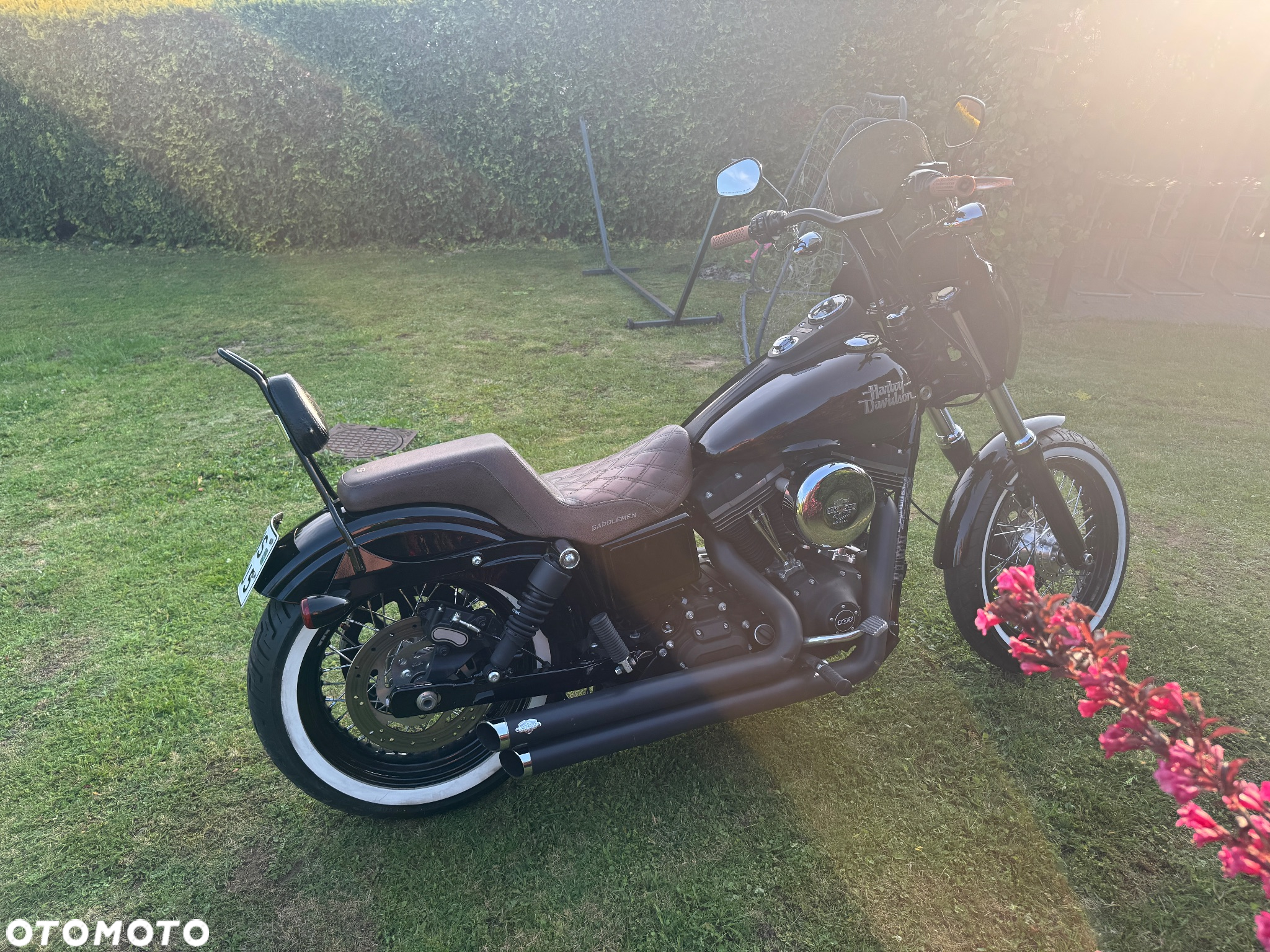 Harley-Davidson Dyna Street Bob - 5