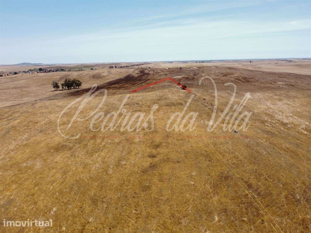 Propriédade de 119ha com varias ruinas - Castro Verde - Grande imagem: 5/48