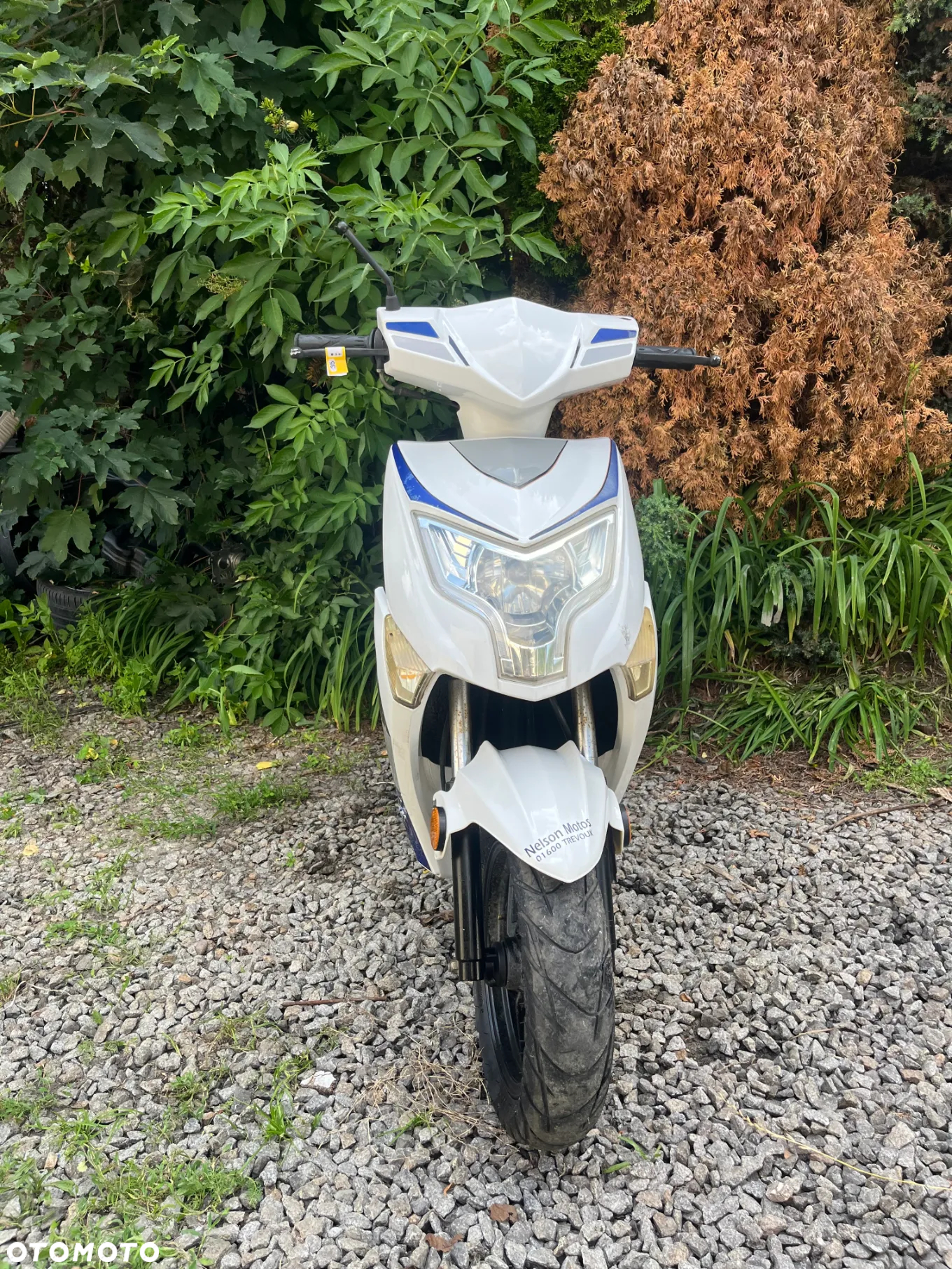 Piaggio ZIP - 5