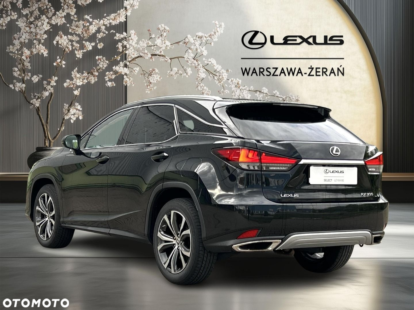 Lexus RX 300 F-Impression - 5