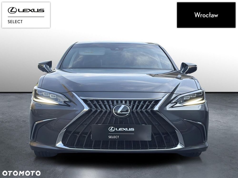 Lexus ES 300h Omotenashi - 9
