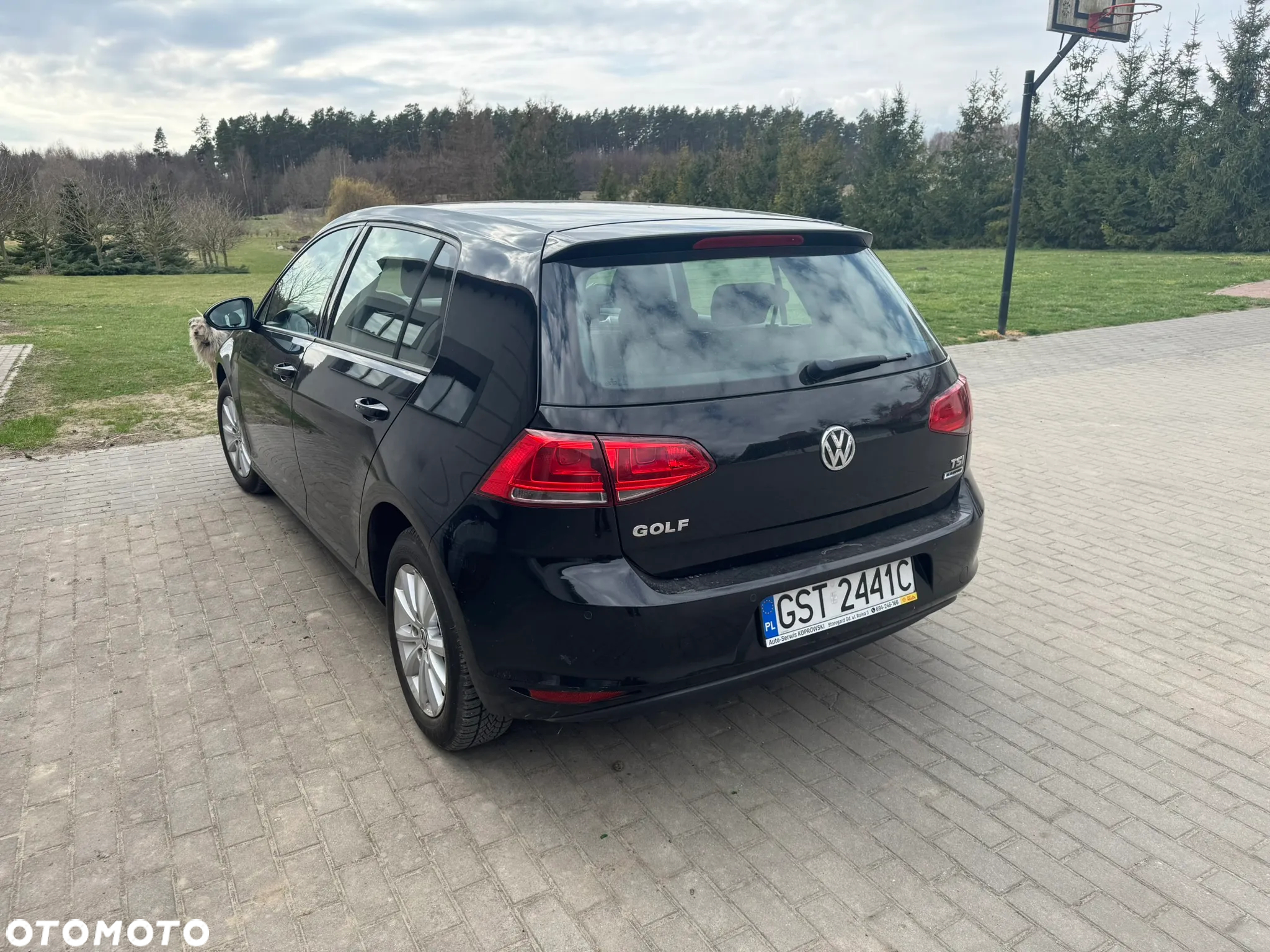 Volkswagen Golf VII 1.2 TSI BMT Trendline - 5