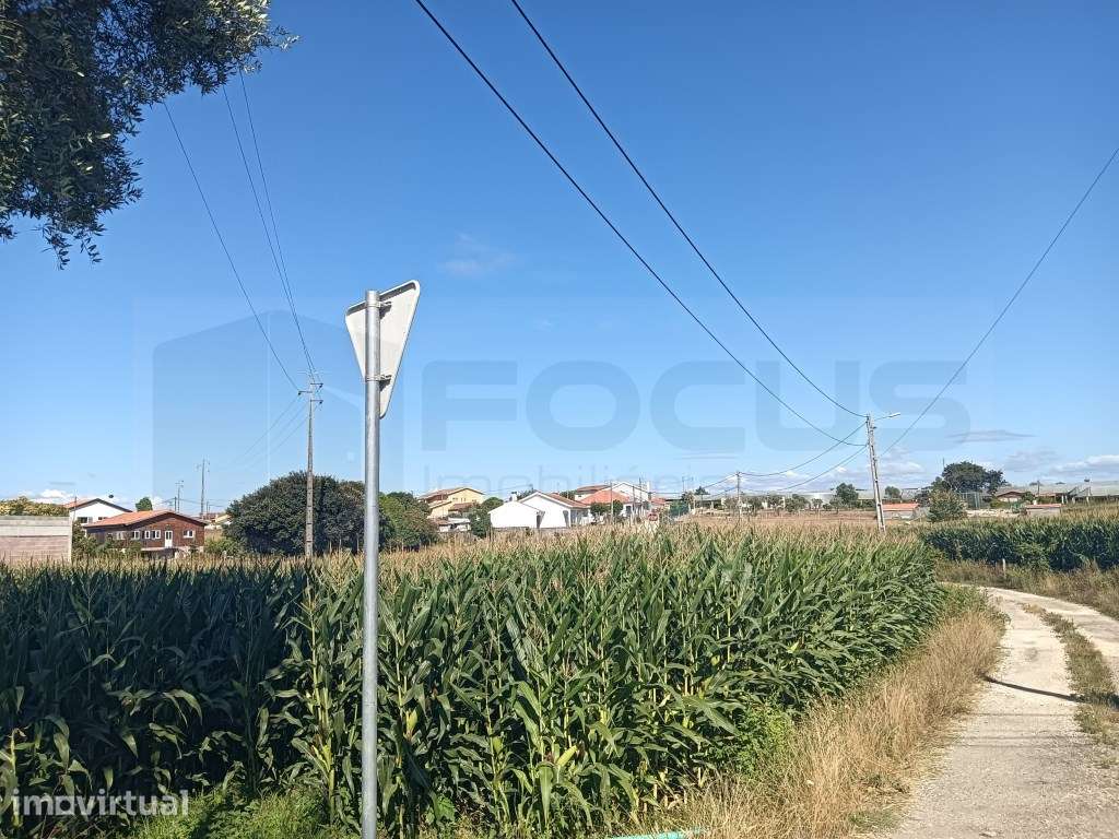 Terreno com 2 frentes, urbanizável - Cacia / Aveiro - Grande imagem: 3/18