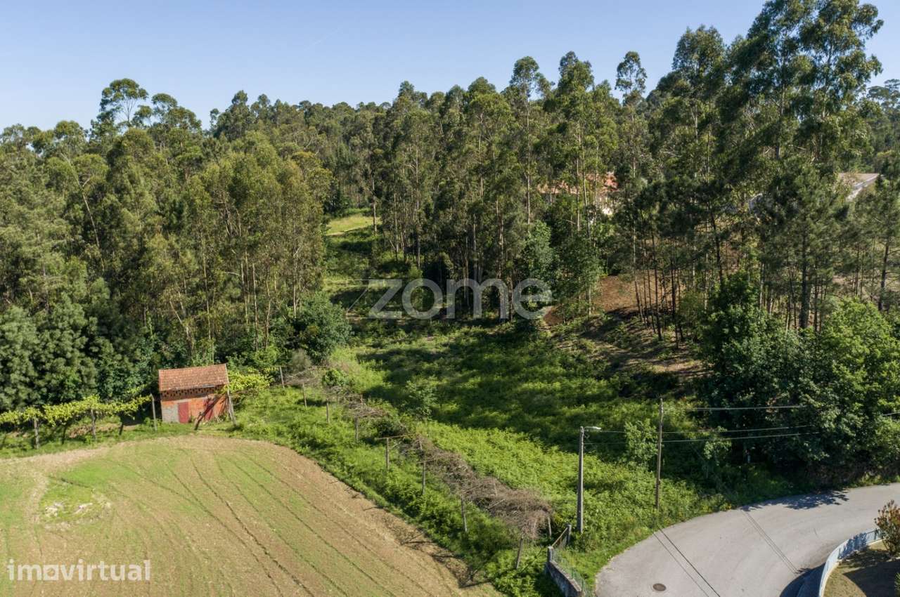 Terreno urbanizável em Caldas de São Jorge - Santa Maria da Feira - Grande imagem: 4/19