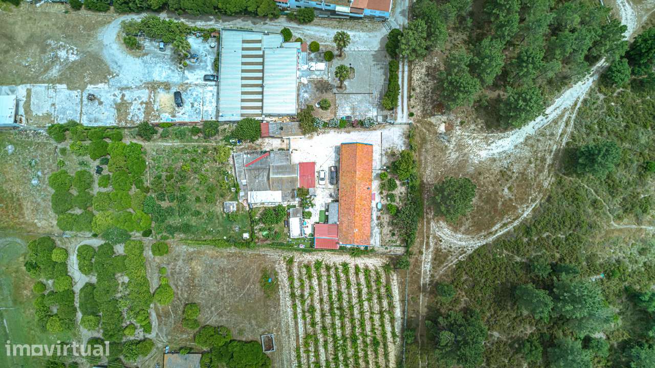 Encantadora Quinta em Palmela com 5200m2 e 196m2 privativos - Grande imagem: 2/40