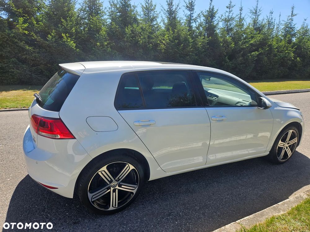 Volkswagen Golf - 8