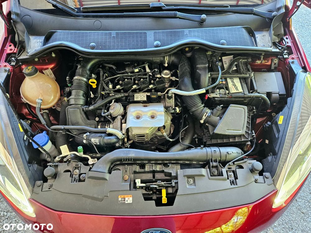 Ford Fiesta - 32