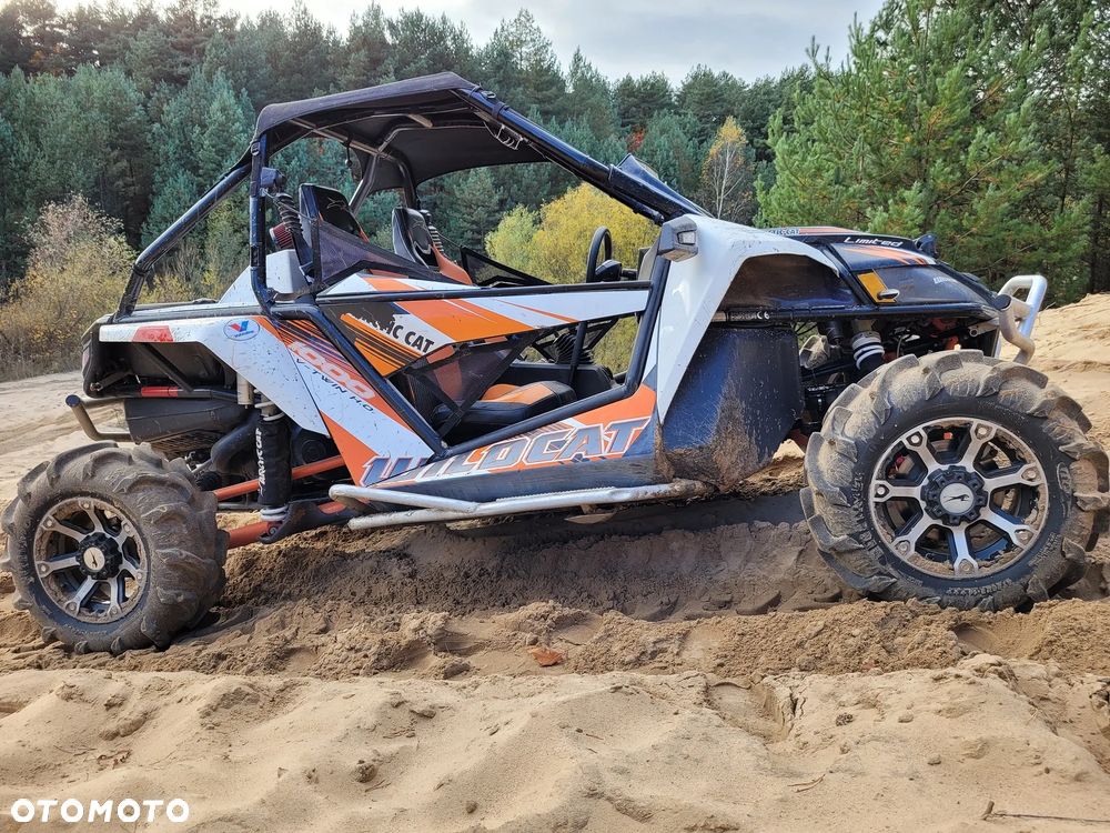 Arctic Cat Inny - 2